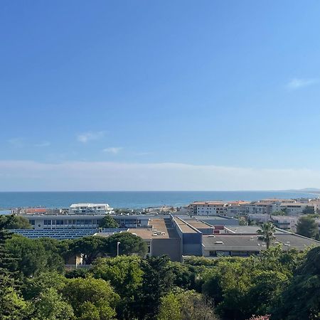 Spacieux T3 Terrasse Vue Mer Sète Eksteriør billede
